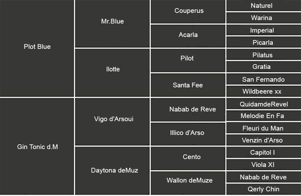 HE15_Hingstar_Stamtavla_Million Dollar (BWP)