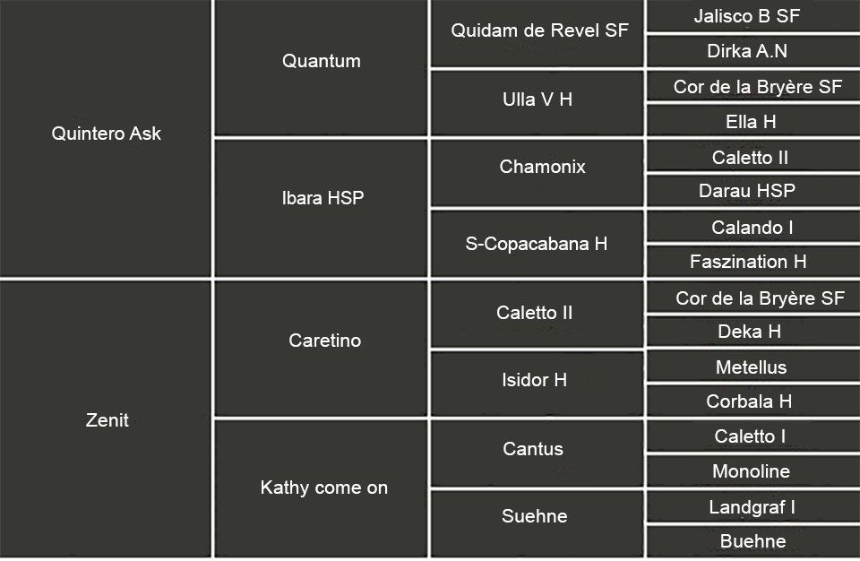 HE15_Hingstar_Stamtavla_Quibery